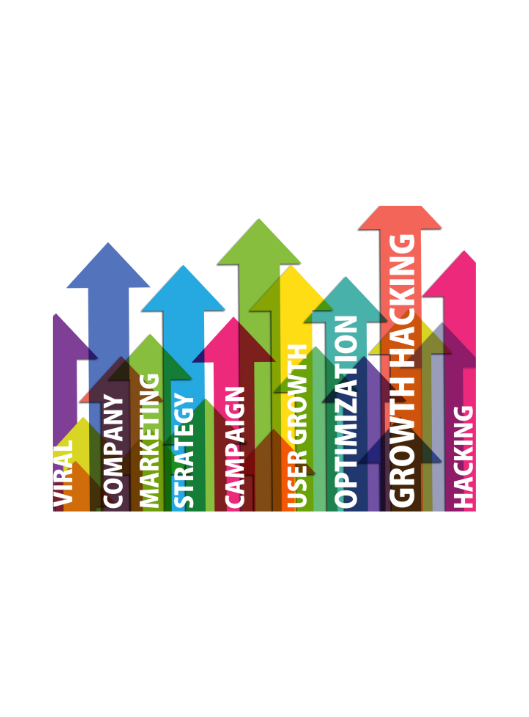 Multilingual Search Engine Optimisation